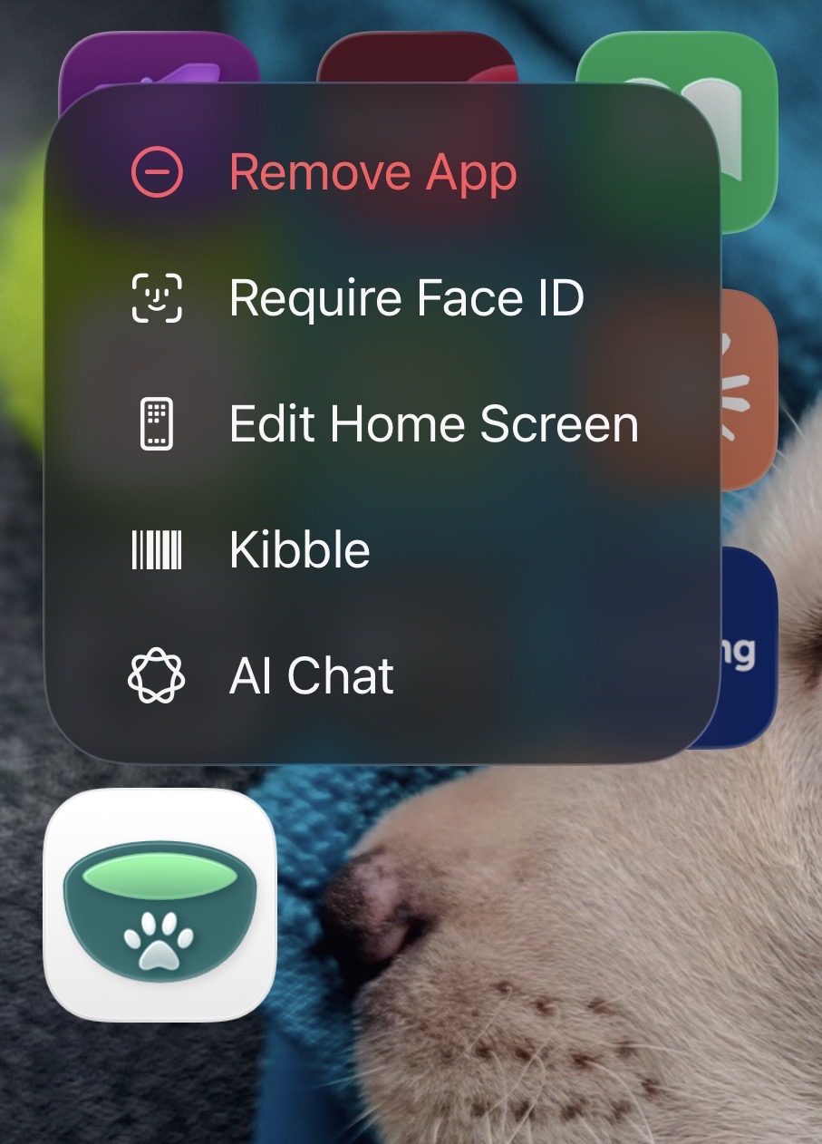 TopiBowl shown as a Quick Action in the iOS system menu